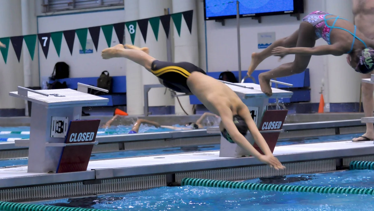 Swimmers diving into the pool from starting blocks during a competition.