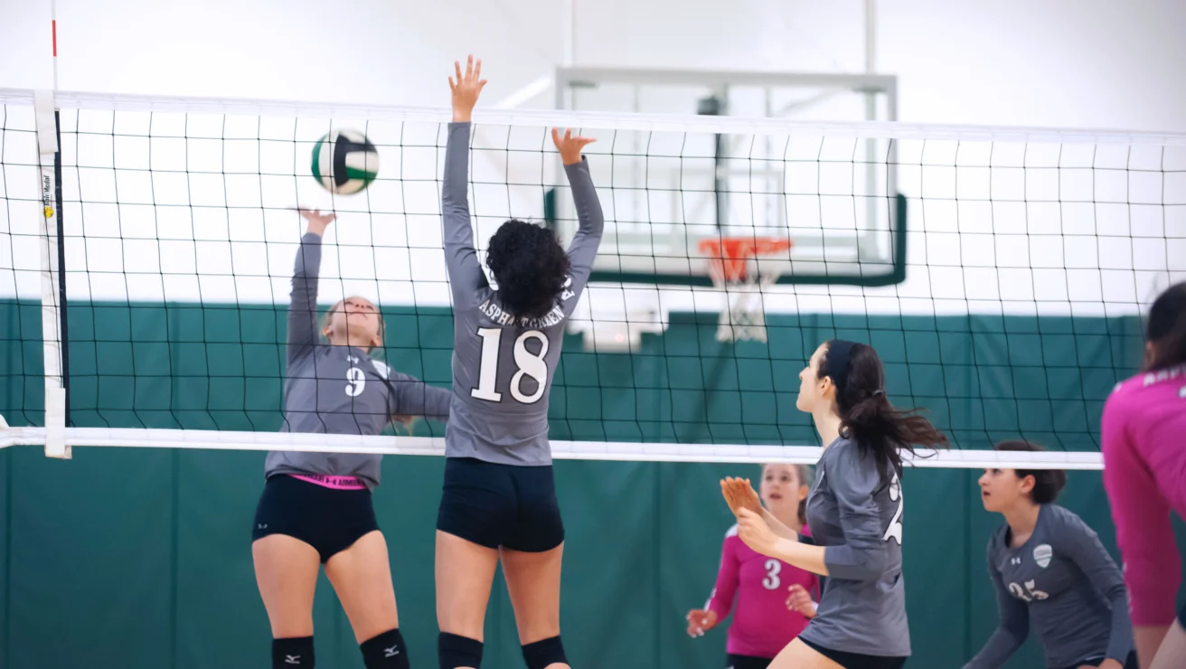 Two volleyball teams in grey and pink jerseys compete in a match. Player #18 is attempting to block the ball at the net.