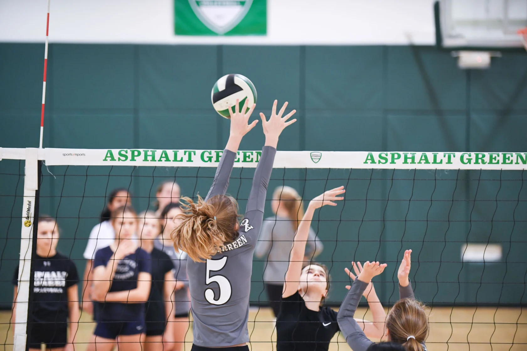 Volleyball player in gray jersey, number 5, jumps to spike or block the ball at a net with teammates and spectators in the background.