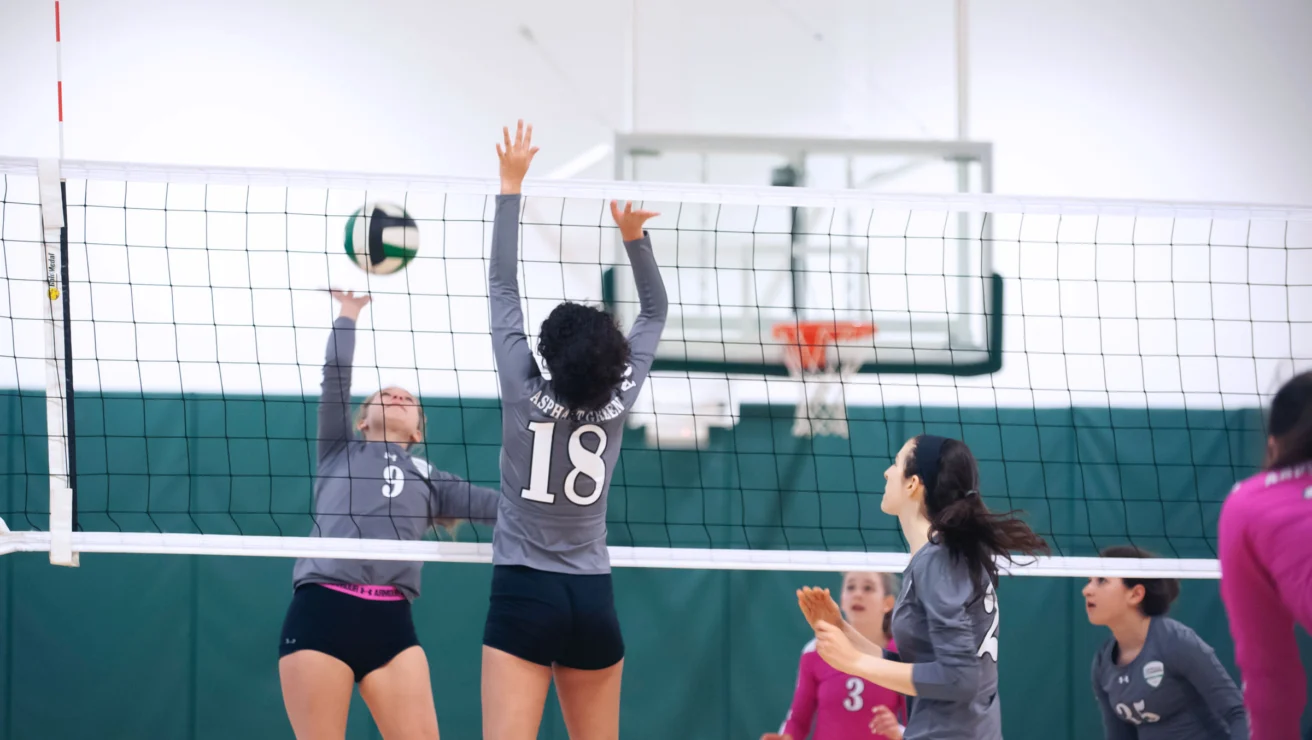 A volleyball game in progress; two players in gray jerseys at the net contest the ball, with teammates in pink and gray jerseys watching.