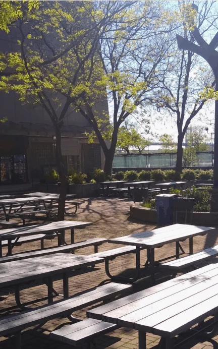 Outdoor courtyard with multiple empty picnic tables and benches, surrounded by trees and greenery. Sunlight casts shadows across the brick-paved ground.
